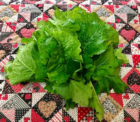 GREENS: TURNIP--1/2 lb – Will's Eden Farm-To-Door Market