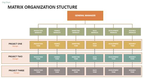 Matrix Org Chart: All the Basics You’d Like to Know (With Examples)