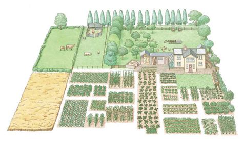 28 Farm Layout Design Ideas to Inspire Your Homestead Dream