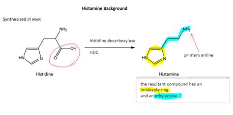 H1 Antihistamines, H2 Antagonists, and Proton Pump Inhibitors - Butler ...