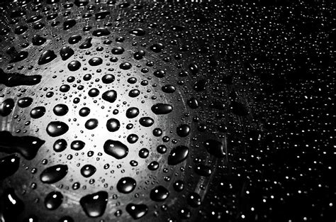 Abstract Water Drops Black And White Art Photograph by Wall Art Prints ...