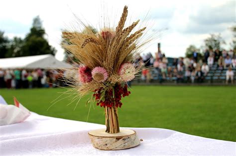 Harvest Festival Cereal Wheat - Free photo on Pixabay - Pixabay