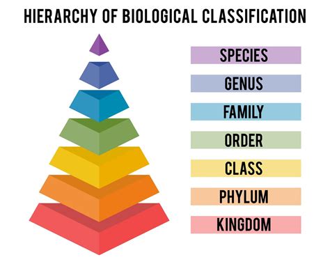 Australian taxonomy resources number around 70 million specimens ...