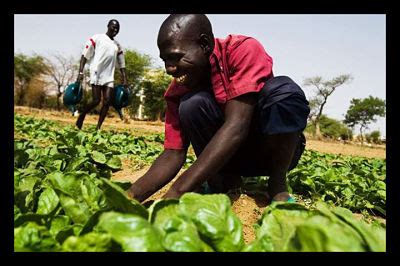 Importance of Small-Scale Farmers - The Borgen Project