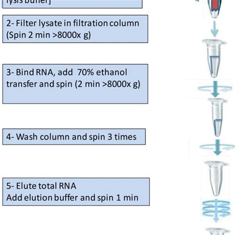 2 Flowchart to explain major steps involved in RNA extraction using ...