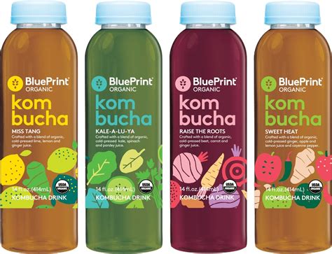 Blueprint Introduces New Line of Kombucha Drinks - BevNET.com