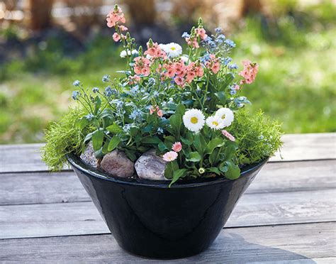 Garden Seeders Planters | Fasci Garden