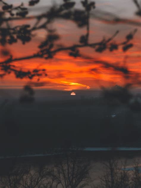 Silhouette of Tree Branches during Sunset · Free Stock Photo