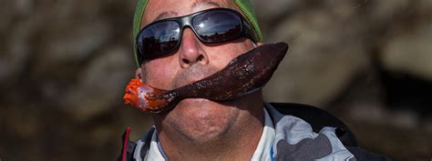 10 Most Bizarre Foods I've Ever Eaten - Andrew Zimmern