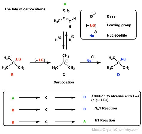 The Carbocation Intermediate In The SN1, E1, and Alkene + HX Reactions