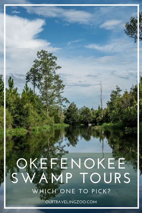 Okefenokee Swamp Tours: Which One to Pick? | Our Traveling Zoo