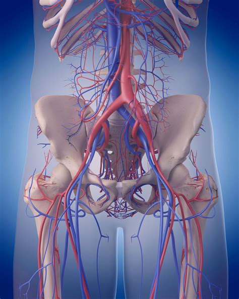 Iliac Artery Stent Thoughts On The Bike - Athlete With Stent