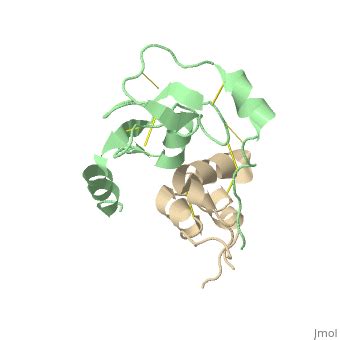 Insulin-like growth factor binding protein - Proteopedia, life in 3D