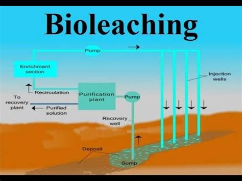 Bioleaching - YouTube