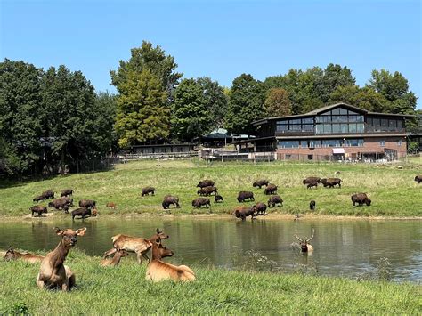 Martin Luther King Jr. Day - Wildlife Prairie Park