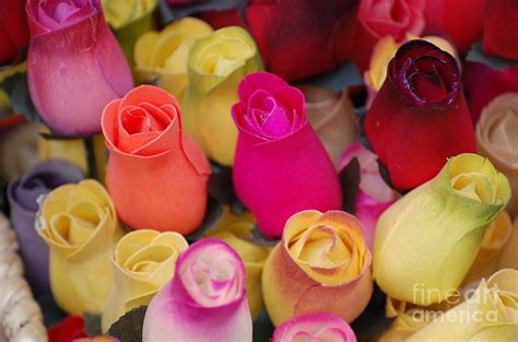 Colorful Wooden Roses 4 Photograph by Patty Vicknair - Pixels