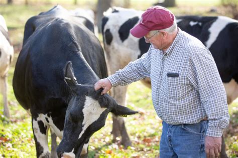 Dairy Farms | American Dairy Association North East