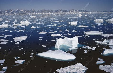 Icebergs, Greenland - Stock Image - C012/0523 - Science Photo Library