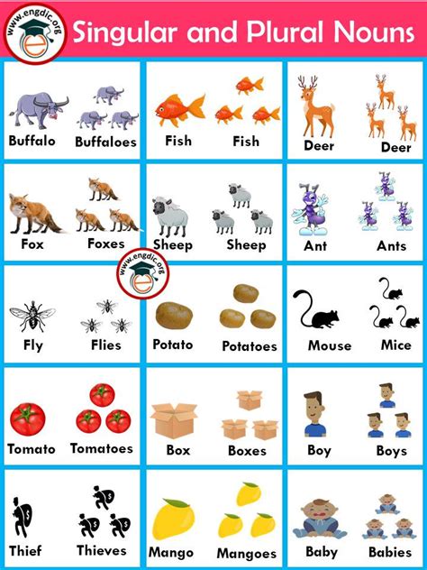 Singular and Plural Noun Rules in English - Grammar - Engdic