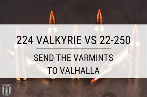 224 Valkyrie vs 22-250 - Caliber Comparison by Ammo.com