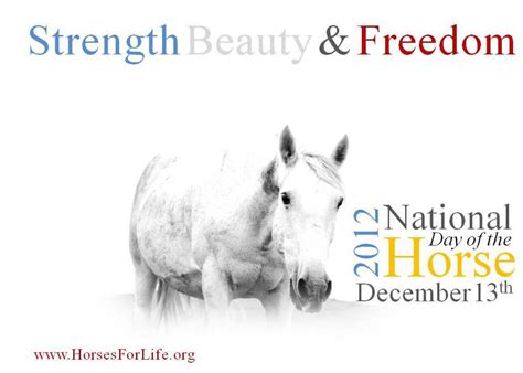 Horses For Life Foundation Blog