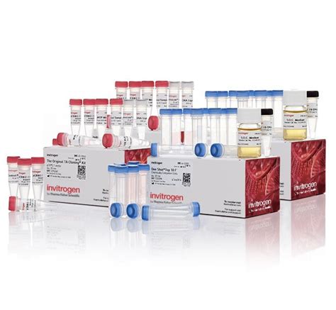 TA Cloning™ Kit, with pCR™2.1 Vector and One Shot™ TOP10F' Chemically ...