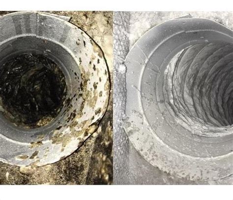 Mold Remediation-Air Duct Cleaning | SERVPRO of New Smyrna Beach-Titusville