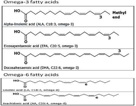 Omega-3 and omega-6 fatty acids. | Download Scientific Diagram