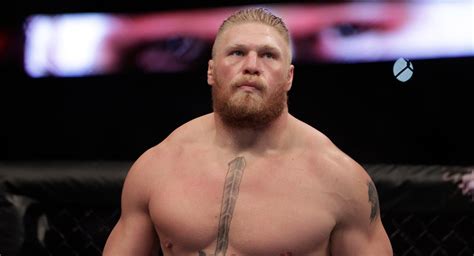 Brock Lesnar Admits He's Done With The UFC, Will Remain A Pro Wrestler