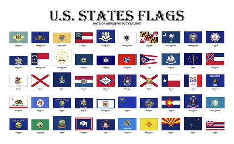 United States of America State flags #4 Digital Art by SP JE Art - Pixels