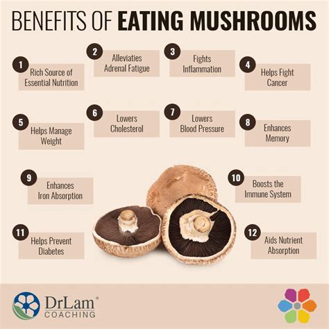 Supercharge Your Health with the Powerful Benefits of Eating Mushrooms