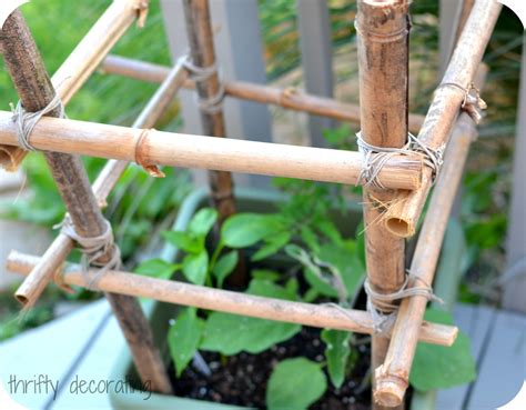 Thrifty Decorating: Bamboo Tomato Stakes