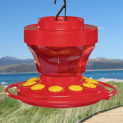 Hummingbird Flower Feeder 16 oz | Momma's Home Store