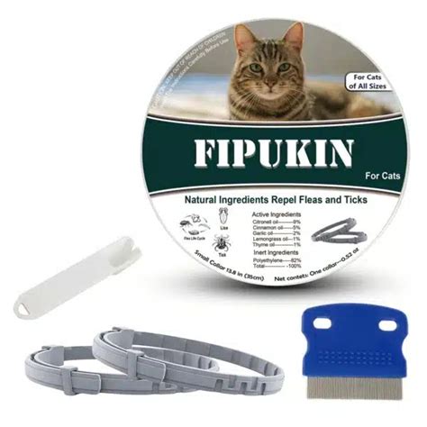 Best Flea Prevention For Cats: Top Products For A Flea-Free Feline ...