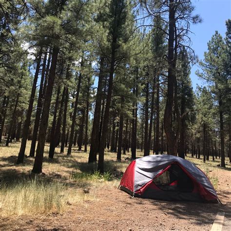 Kaibab National Forest Kaibab Lake Campground | The Dyrt