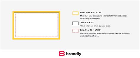 Standard Business Card Sizes (+ free templates) | Brandly Blog