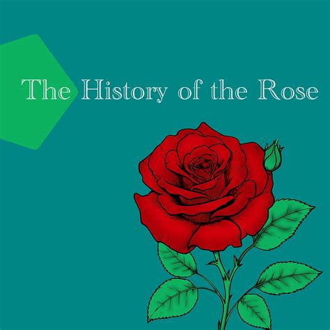 The History of the Rose