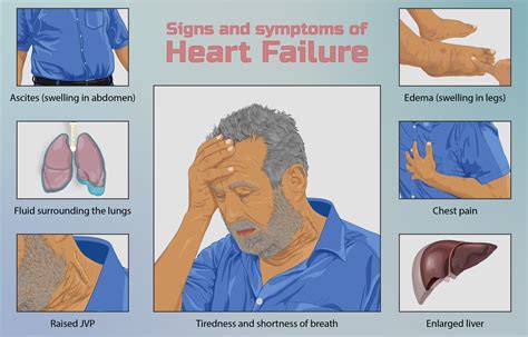 Systolic Heart Failure vs Diastolic Heart Failure: Symptoms, Diagnosis ...