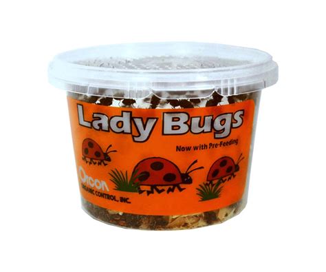 1500 Live ladybugs - Savannah Hydroponics & Organics