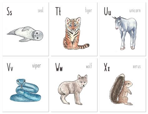 Animal Alphabet Flashcards - Etsy