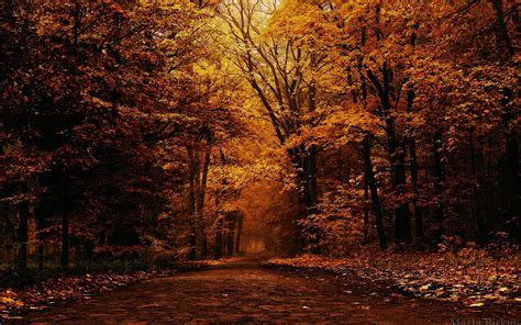 Autumn Wallpapers Free - Wallpaper Cave