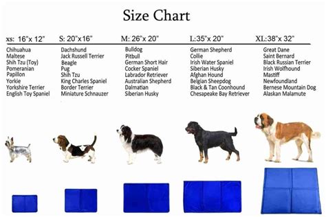 Alaskan Malamute Puppy Weight Chart - Pets Lovers