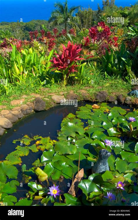 Small garden water features hi-res stock photography and images - Alamy