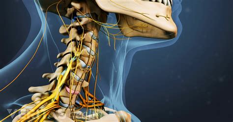 A Visual Guide to Anterior Cervical Discectomy and Fusion (ACDF) Surgery