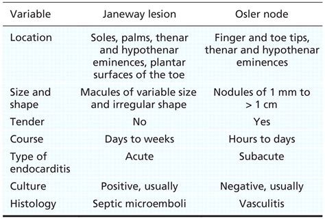 Osler Nodes and Janeway Lesions