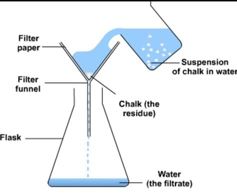 Draw a neat diagram of filtration label the parts explain the process ...