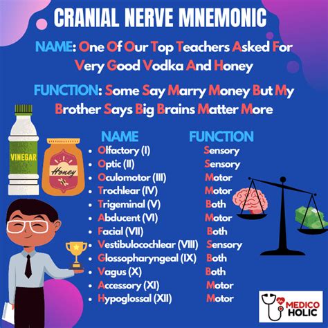 Cranial Nerve Mnemonic Easy Way To Remember Cranial Nerves Cranial ...