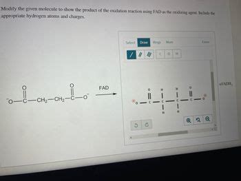 Answered: Modify the given molecule to show the… | bartleby