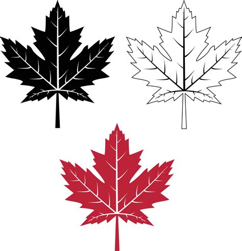 maple leaf icon on white background. red maple leaf sign. canada maple ...