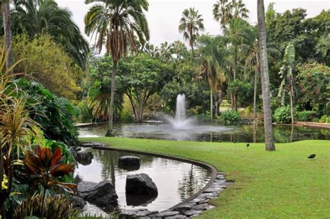 Brisbane Botanic Gardens